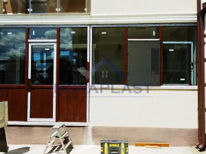 Usi Intrare Pvc Iasi
